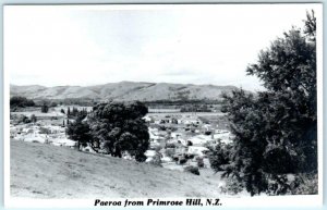 RPPC  PAEROA, NEW ZEALAND  Birdseye from PRIMROSE HILL  Blank Back Postcard