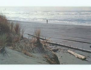 Unused Pre-1980 GOLD BEACH Redwoods Park - Near Eureka & Klamath CA d6442