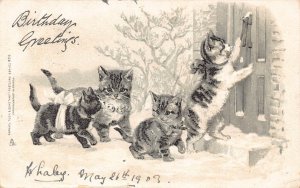 Greetings Humanized Cats Kittens Ringing at Door 1903 embossed postcard  B925