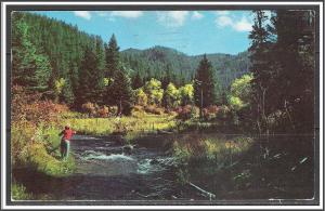 South Dakota, Spearfish Canyon - [SD-024]