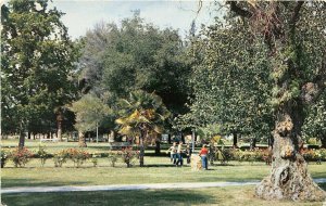 Hemet California 1960s Postcard Weston Park 