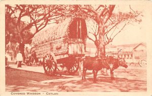 Covered wagon-Ceylan Stagecoach Unused 
