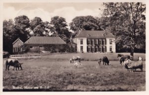 Brakel Hulze Farm Germany Real Photo Postcard