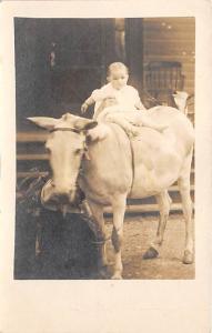 Little baby on a donkey Child, People Photo Writing on back crease near botto...