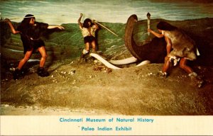 Ohio Cincinnati Museum Of Natural History Paleo Indian Exhibit