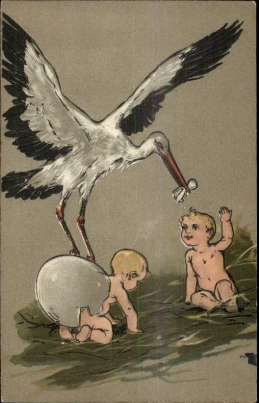 Stork Babies Hatching From Eggs Stewart & Woolf Series 410 c1910 Postcard