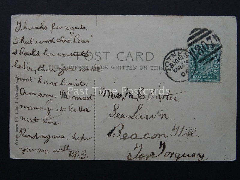 Devon TOTNES from Sharpham Road showing Steam Boat c1902 Postcard by Valentines