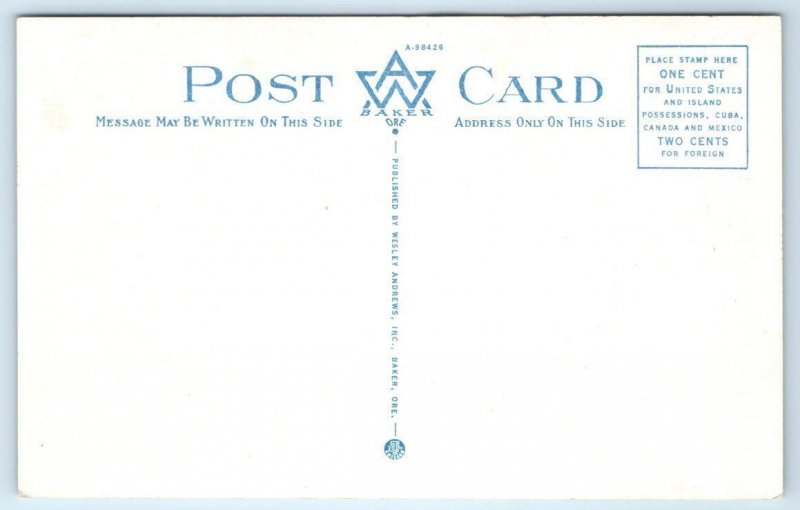 CHAPMAN POINT from Cannon Beach near SEASIDE, Oregon OR ~ c1930s Postcard