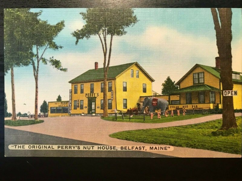 Vintage Postcard 1930-1945 Original Perry's Nut House Belfast Maine