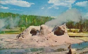 Wyoming Yellowstone National Park Grotto Geyser