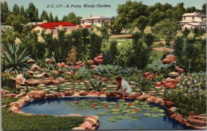 Florida Miami A Pretty Miami Garden 1943 Curteich
