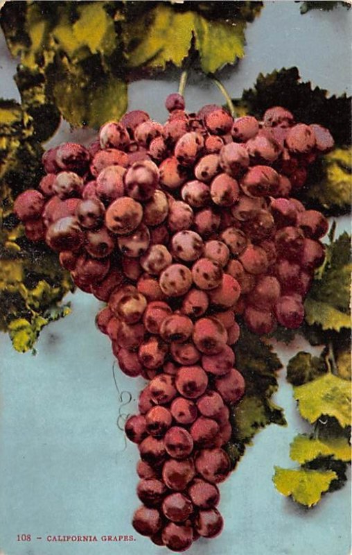 Grapes Still Life Unused 