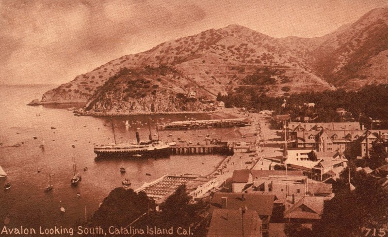 Vintage Postcard 1910's View of Avalon Looking South Catalina Island California