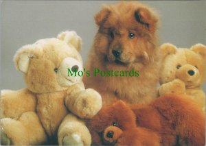 Children Postcard - Toys - Teddy Bears and a Cute Dog RR14171