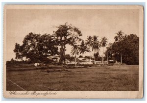 c1950's Chinese Cemetery Jakarta Indonesia Vintage Unposted Postcard