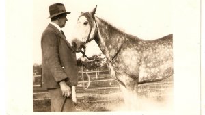 Race Horse with owner  Old vintage french postcard