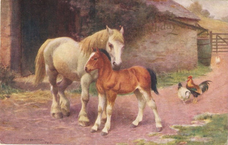 EDWIN BOTTOMLEY.  Mare and foal. Horses Nice J. Salmon postcard