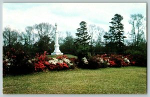 Postcard Camp Moore Confederate Cemetery Tangipahoa Louisiana  