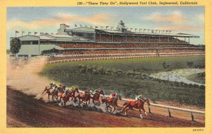 Race Track HOLLYWOOD TURF CLUB Inglewood CA Horse Racing c1940s Vintage Postcard 