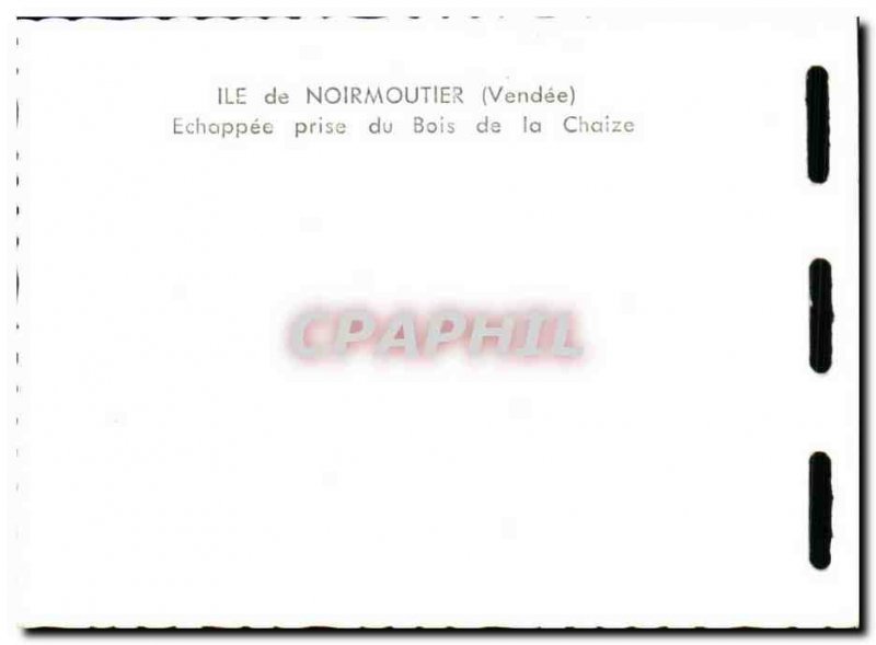 Postcard Modern Noirmoutier Echappee Jack Du Bois De La Chaize