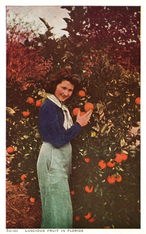 Vintage Postcard 1920s Beautiful Woman Holding Oranges Luscious Fruit in Florida 