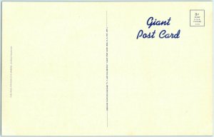 c1940s Lookout Mountain GA Giant Postcard Rock City Gardens Lovers Leap 11x7 5K