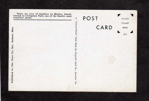 MS Monkey Island Livingston Park Jackson MISSISSIPPI Postcard Animals