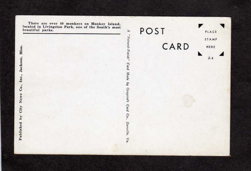MS Monkey Island Livingston Park Jackson MISSISSIPPI Postcard Animals