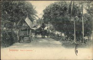 Singapore - Road in Seremben c1910 Postcard