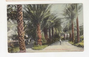 HAWAII, ppc. HONOLULU, QUEEN'S HOSPITAL PARK, c1920, unused..