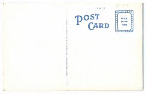 Mid-1900s Teal Lake, Ishpeming, MI Postcard