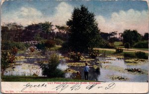 USA Chicago Lily Pond Illinois Vintage Postcard C004