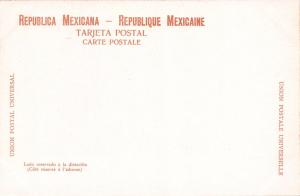 MEXICO~ARRASTRE del TORO~DRAGGING OF THE BULL~ITURBIDE #205 PUBL POSTCARD 1900s