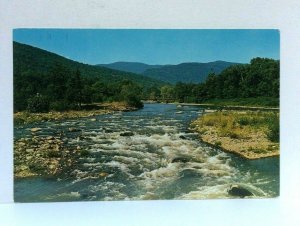 Catskill Mountains New York NY Esopus Creek Postcard 