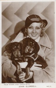 Joan Blundell Film Stars & Their Pets Rare Real Photo Postcard