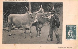 ac0307 - Postcards POSTCARD - PORTUGAL - 1912 - ETHNIC-