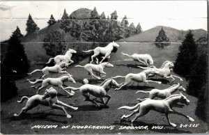 RPPC Running Horses Museum of Woodcarving Spooner WI Vintage Postcard B37