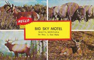 Howdy Malta Hello From Big Sky Motel 1980