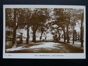 Gloucestershire CHELTENHAM The Promenade c1913 RP Postcard by Kingsway