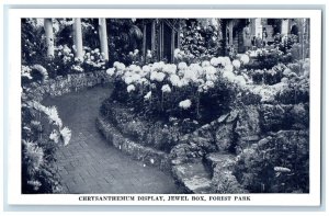 c1940 Chrysanthemum Display Jewel Box Forest Park St Louis Missouri MO Postcard