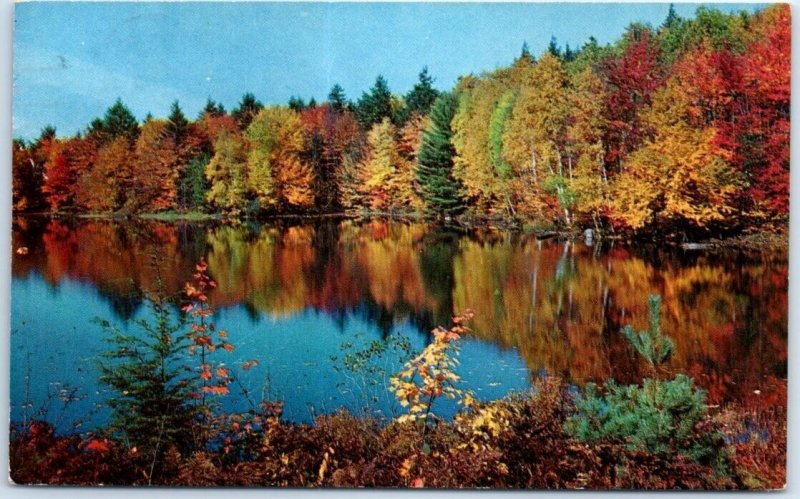 Postcard - Lake and Nature Scenery - Renfrew, Canada 