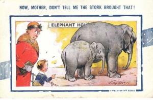 Elephant Zoo Animal Seaside Humour 1940s Postcard