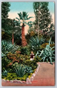 California~Girl In Cactus Garden~Vintage Postcard