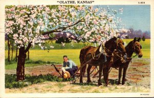 Kansas Olathe Farming Scene Curteich