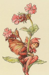 The Red Campion Fairy Old Book Stunning Postcard