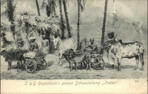 Indian Circus Performers J&G Hagenbeck's - Schaustellung c1910 Postcard