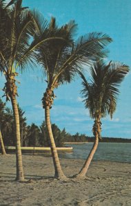 VINTAGE POSTCARD FLORIDA COASTLINE 1965 POSTED AT FORT LAUDERDALE FLORIDA