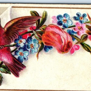 c1880s Blank Embossed Bird Flowers Advertising Victorian Trade Card Business C31