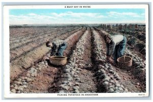DPO Carroll Maine ME Postcard Picking Potatoes In Aroostook Farming 1931 Vintage