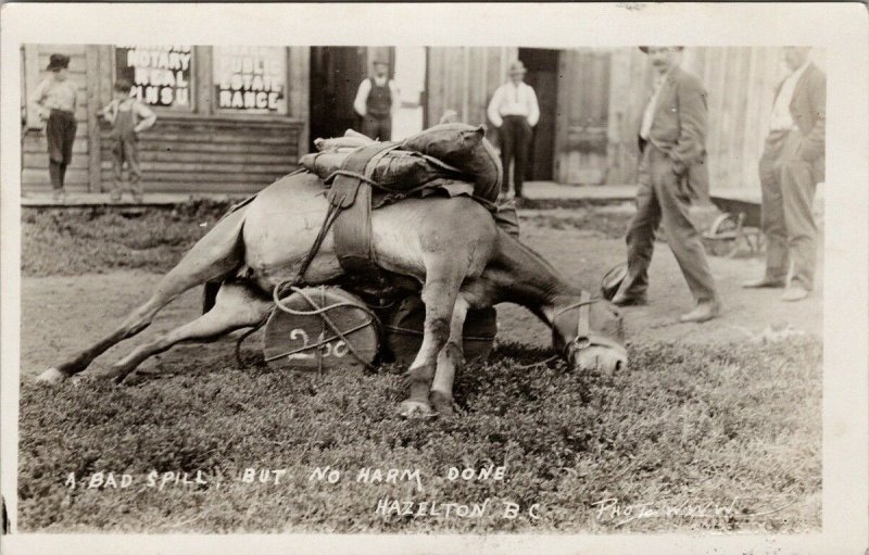 Hazelton BC Fallen Horse No Harm Done c1912 W.W. Wrathall RPPC Postcard E67